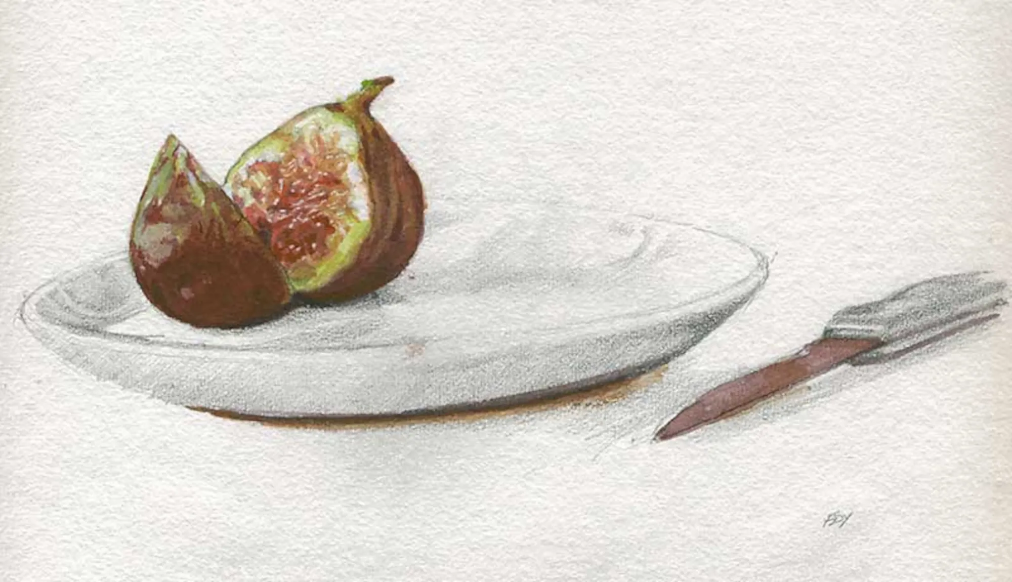Watercolour of a fig.