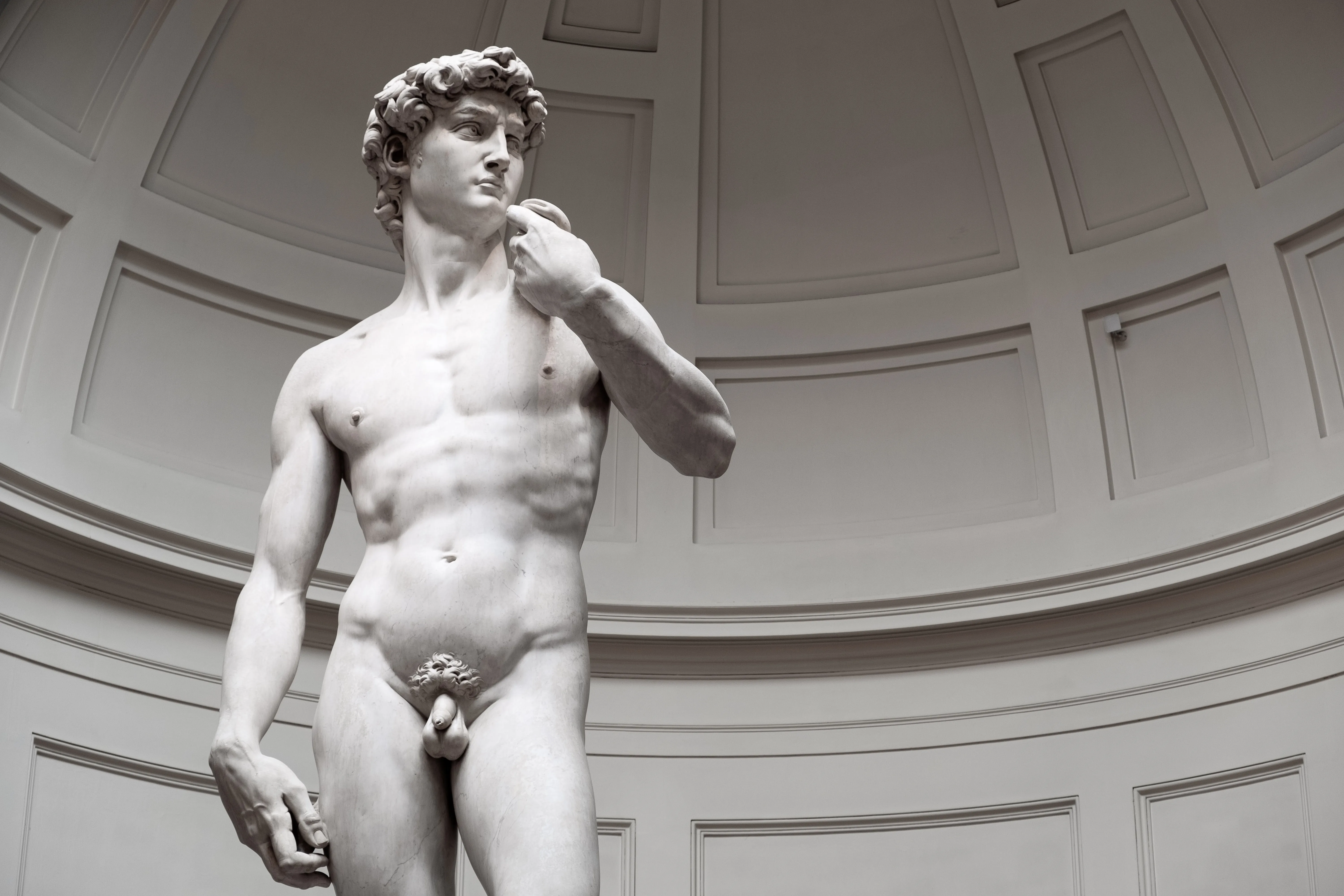 The private parts of Michelanglo’s David.